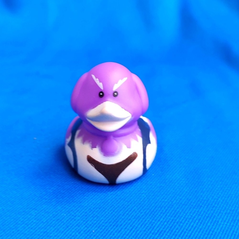 #10 Duck For Duck Duck Plushie Game